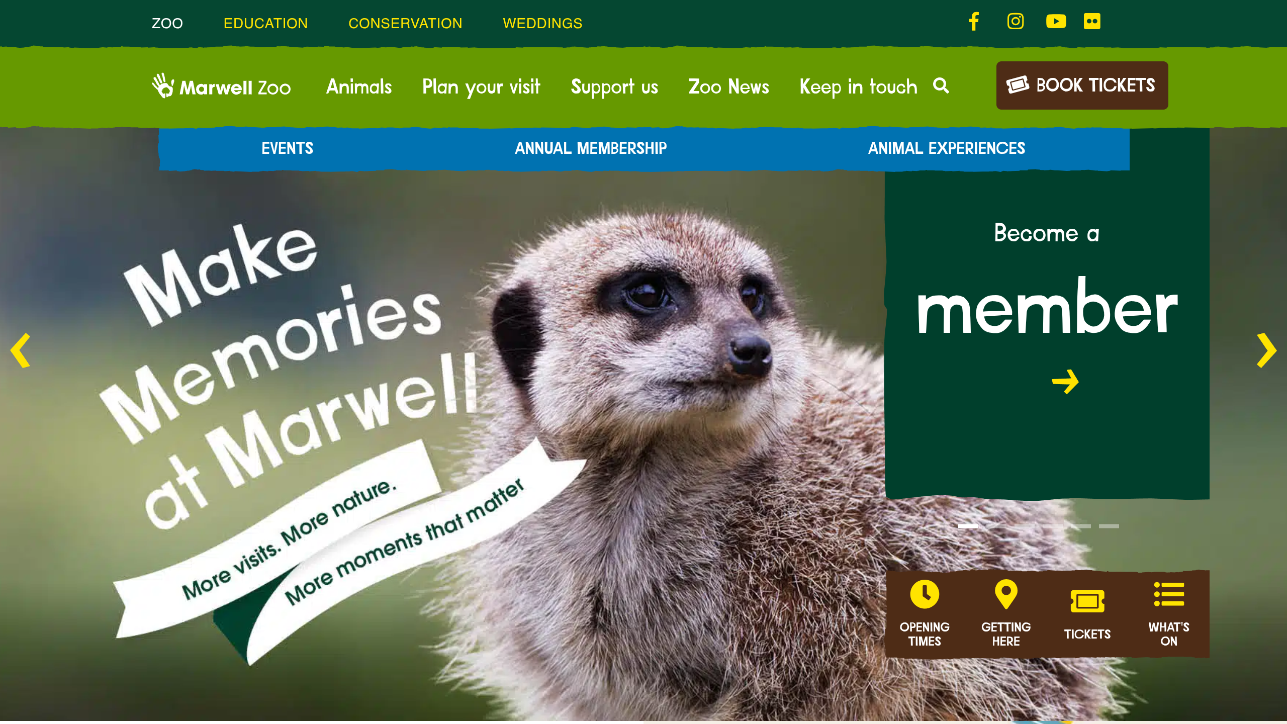 Marwell Zoo desktop view